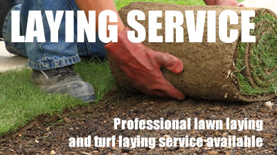Turf laying service